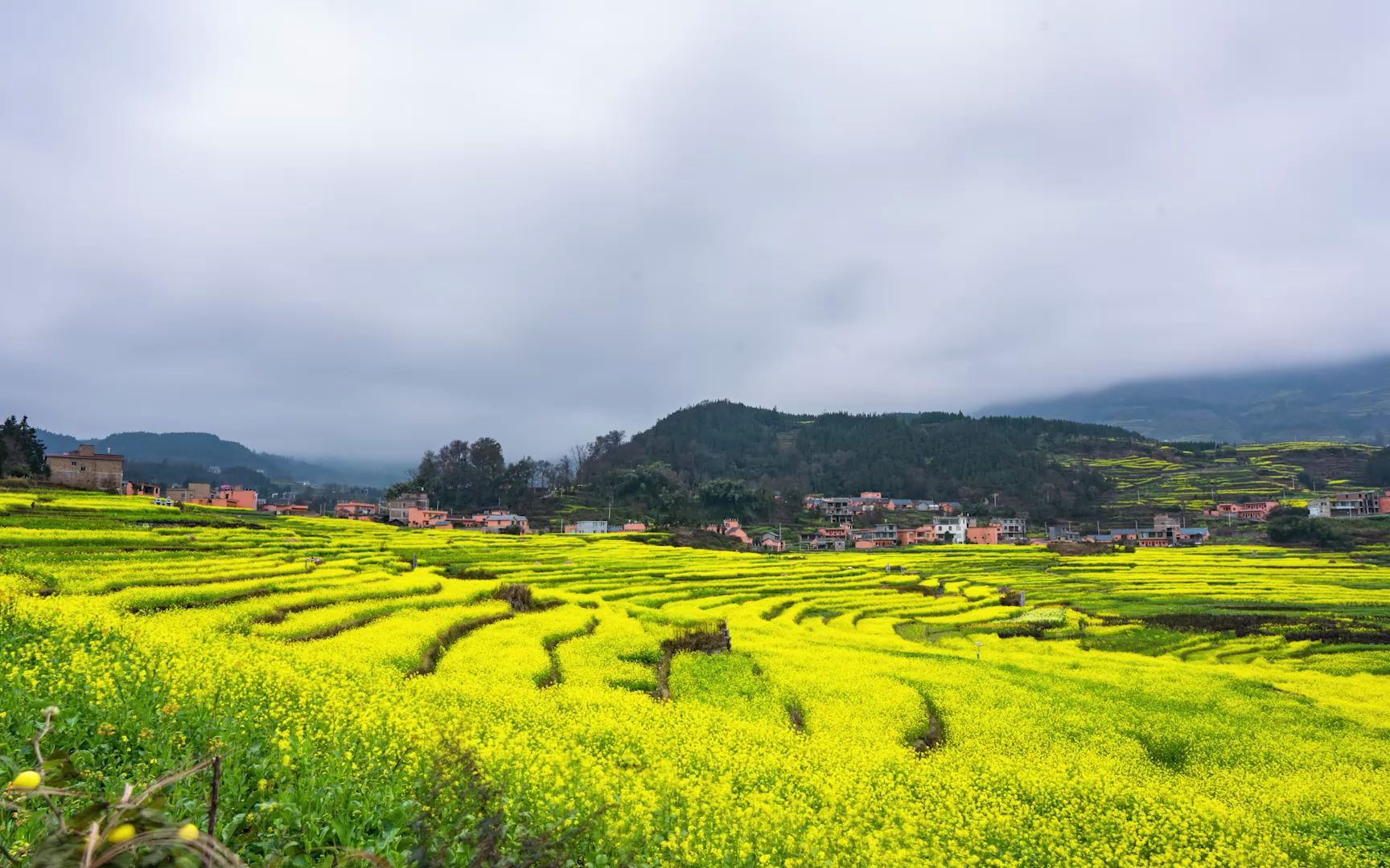 六盤水市盤州新民鎮(zhèn)萬畝奮斗花田