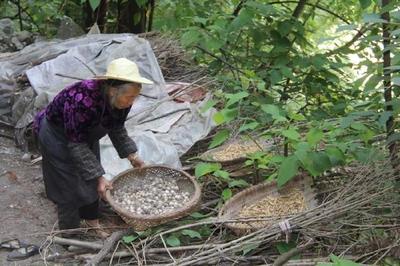 六盤水八旬老嫗住在山洞中長達半個世紀(jì)