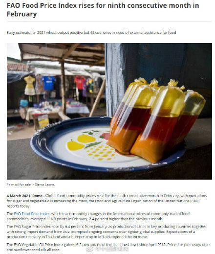 全球食品價格連續9個月上漲,中國人均糧食占有量在474公斤