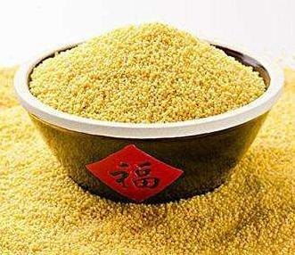 成都小米市場價 雙流區棲博食品商貿部 綠豆